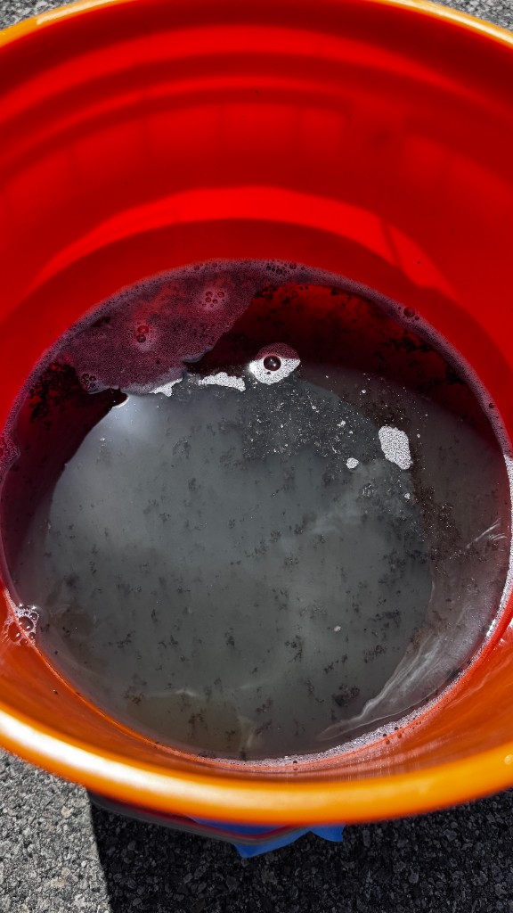 Dirty rinse water collected during cleaning
